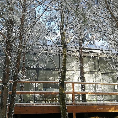 Luksusowy- Nowoczesny Dom W Lesie Villa Kowalewo Exterior foto