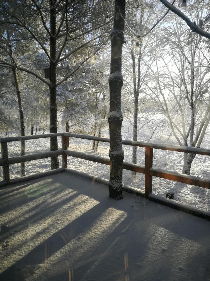 Luksusowy- Nowoczesny Dom W Lesie Villa Kowalewo Exterior foto