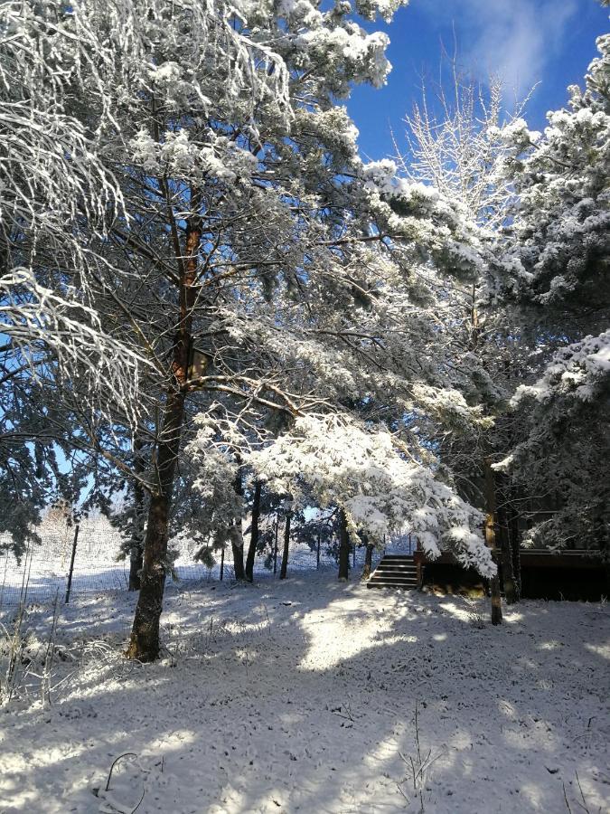 Luksusowy- Nowoczesny Dom W Lesie Villa Kowalewo Exterior foto