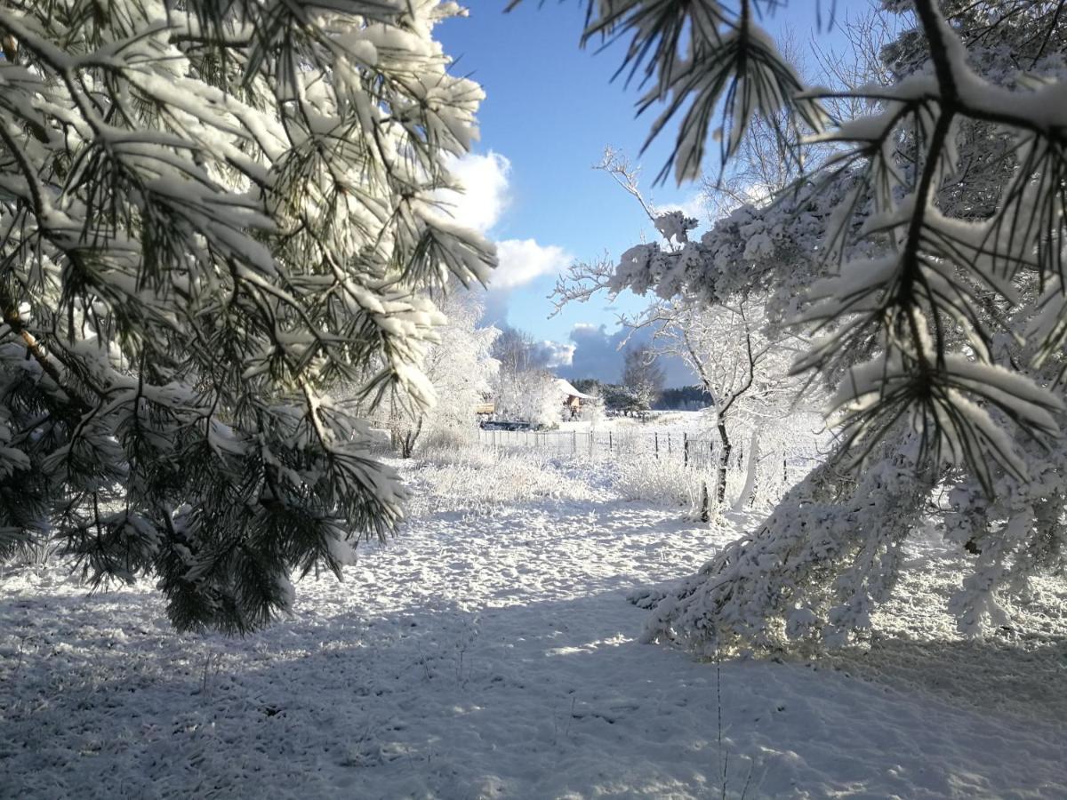 Luksusowy- Nowoczesny Dom W Lesie Villa Kowalewo Exterior foto