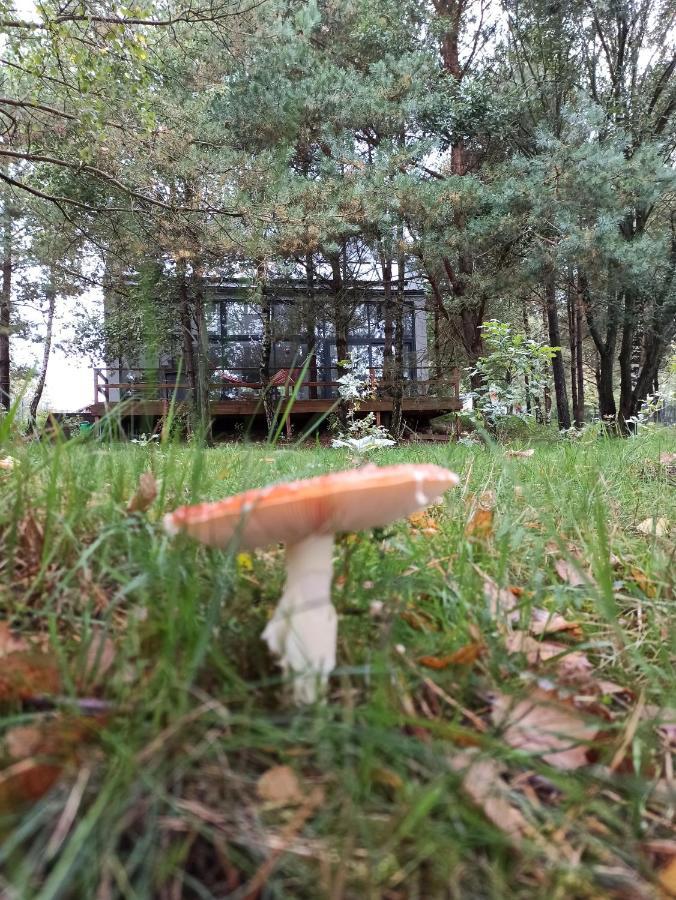 Luksusowy- Nowoczesny Dom W Lesie Villa Kowalewo Exterior foto