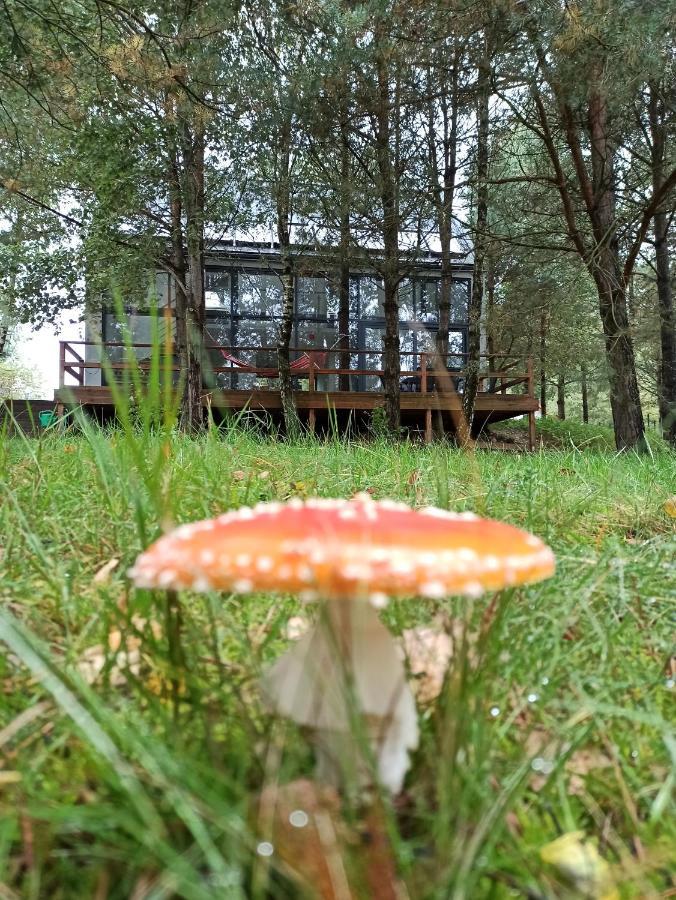 Luksusowy- Nowoczesny Dom W Lesie Villa Kowalewo Exterior foto